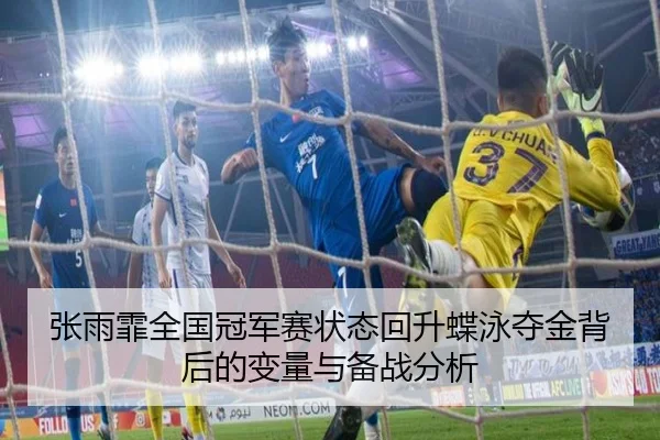 张雨霏全国冠军赛状态回升蝶泳夺金背后的变量与备战分析